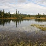 IMG_2585.jpg
