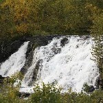 IMG_2596.jpg