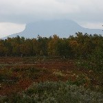 IMG_2645.jpg
