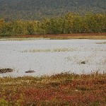 IMG_2650.jpg