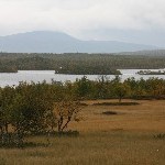 IMG_2661.jpg