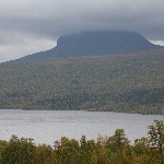IMG_2663.jpg