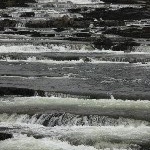 IMG_2666.jpg