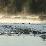 IMG_2681.jpg