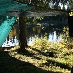 IMG_2686.jpg
