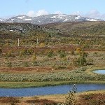 IMG_2705.jpg