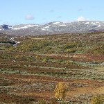 IMG_2708.jpg
