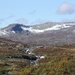 IMG_2710.jpg