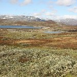 IMG_2719.jpg