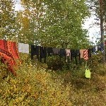 IMG_2758.jpg