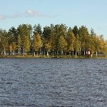 IMG_2765.jpg