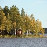 IMG_2766.jpg
