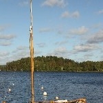 IMG_2799.jpg