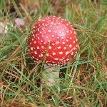 IMG_2830.jpg