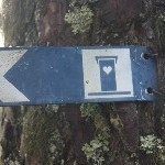 IMG_2832.jpg