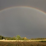 IMG_2836.jpg