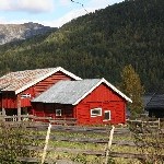 IMG_2849.jpg