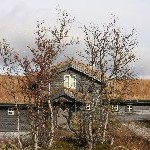 IMG_2887.jpg