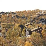IMG_2891.jpg