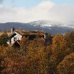 IMG_2894.jpg