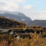 IMG_2905.jpg