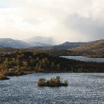 IMG_2910.jpg