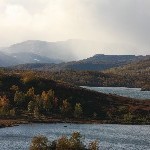 IMG_2916.jpg