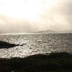 IMG_2933.jpg