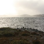 IMG_2934.jpg