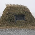 IMG_2955.jpg