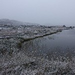 IMG_2957.jpg