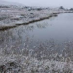 IMG_2958.jpg