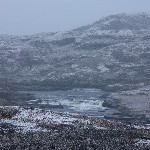 IMG_2963.jpg