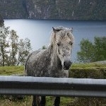 IMG_3034.jpg