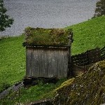 IMG_3041.jpg