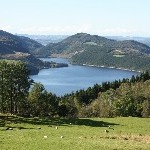 IMG_3118.jpg