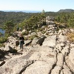 IMG_3134.jpg