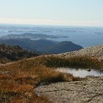 IMG_3181.jpg