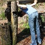 IMG_0527.jpg