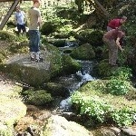IMG_0534.jpg