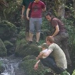 IMG_0537.jpg