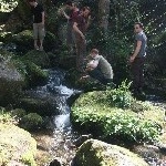 IMG_0538.jpg