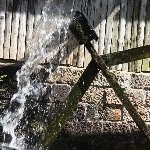 IMG_0571.jpg