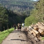 IMG_0622.jpg