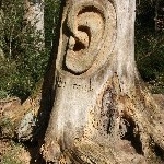 IMG_0623.jpg