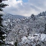 100_0215.jpg