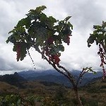100_2576.jpg