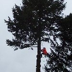 100_3229.jpg