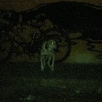 DSCN1175.jpg