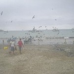 DSCN1243.jpg